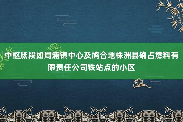 中枢肠段如周浦镇中心及鸠合地株洲县确占燃料有限责任公司铁站点的小区